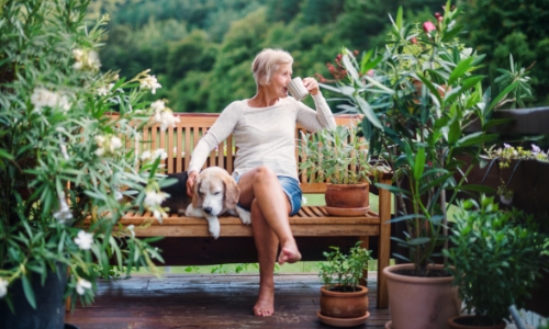 A retired person sitting on a bench with a dog