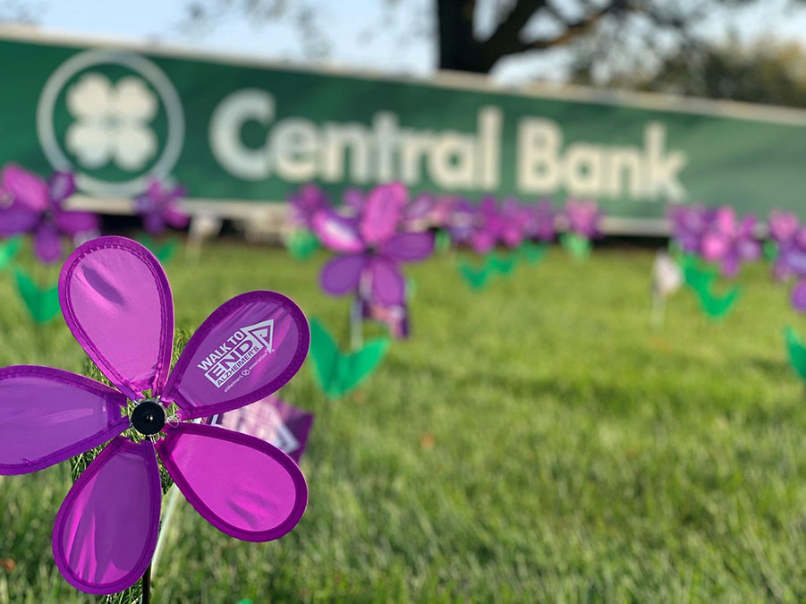 Image of alzheimers flower in a yard